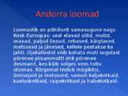 Andorra #9