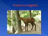 Andorra #10