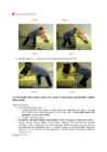 Ergonoomika tegevused IV patsiendi nihutamine voodi servale #9