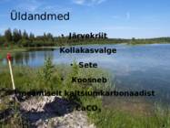 Järvelubi #2