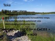 Järvelubi #3