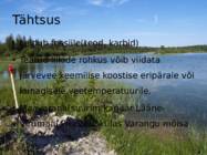Järvelubi #4