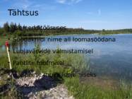 Järvelubi #5