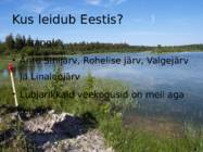 Järvelubi #6