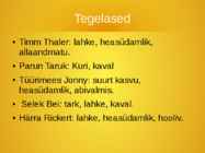 Timm Thaler #4