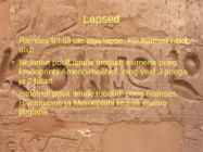 Ramses II #4