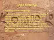 Ramses II #5