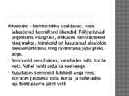 Lupiin ehk hundiuba #11