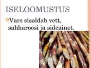 Suhkruroog #5
