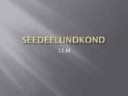 Seedeelundkond