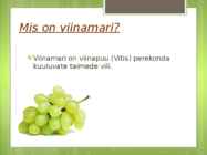 Viinamari #2