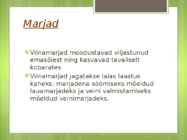 Viinamari #4