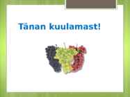 Viinamari #7