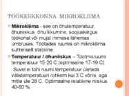 Ergonoomiline töökoht #14