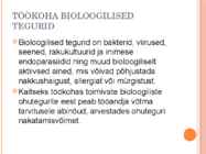 Ergonoomiline töökoht #10