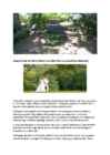 Referaat Sangaste loss #9