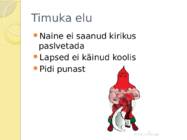 Timuka maja #4