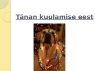 Timuka maja #6