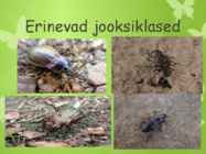 Jooksiklased #5