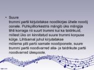 Suur Trumm #3