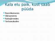 Nimetu #4