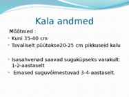 Nimetu #5