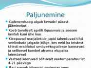 Nimetu #7