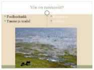 Rannaniit #2