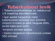 TUBERKULOOS #13