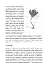 Meriliiliad #2
