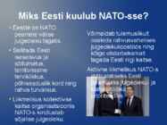 NATO #6
