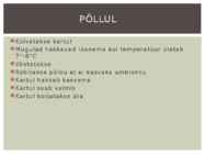 Kartulist kartulispiraalideks #2