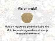 Mullad #2