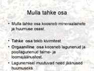 Mullad #4