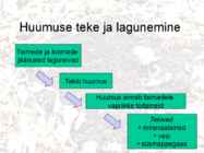 Mullad #6