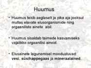 Mullad #7