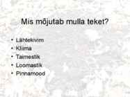 Mullad #10