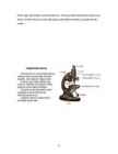 Robert Hooke #6