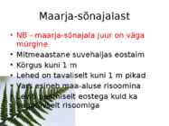 Maarja-sõnajalg #2