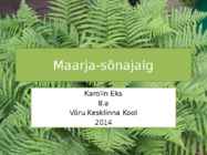 Maarja-sõnajalg