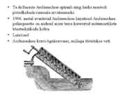 Archimedes #3