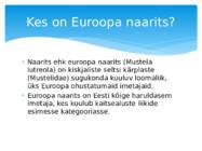 Euroopa naarits #2