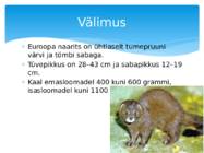 Euroopa naarits #3
