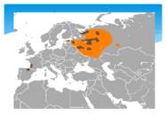 Euroopa naarits #6