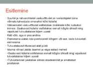 Tervitamine ja esitlemine #10