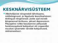 Alkoholi kahjulik mõju organismile #8