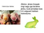 Rakendusbioloogia jaotusmaterjalid #42