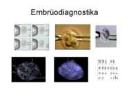 Rakendusbioloogia jaotusmaterjalid #43