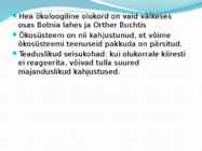 Esitlus Läänemere ökoloogilisest olukorrast #6