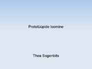 Prototüüpide loomine